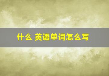 什么 英语单词怎么写